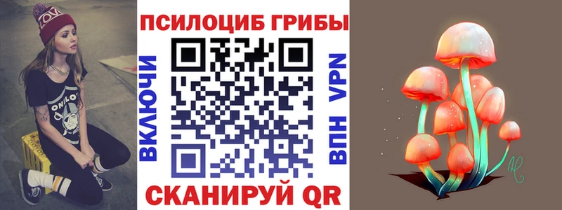 Псилоцибиновые грибы ЛСД  Купить закладки  Абаза 